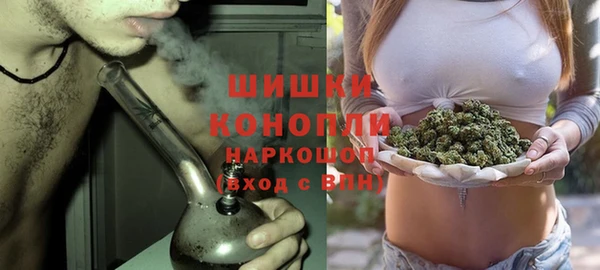 молекула духа Краснослободск