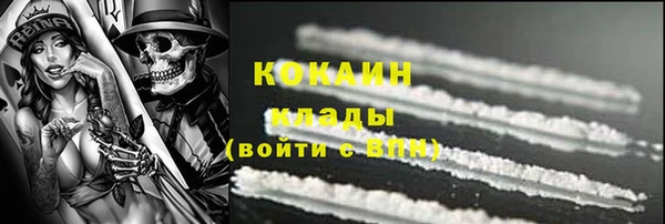 молекула духа Краснослободск