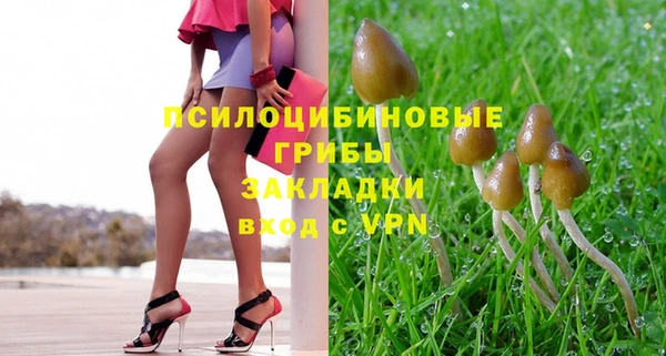 прущие грибы Куйбышев