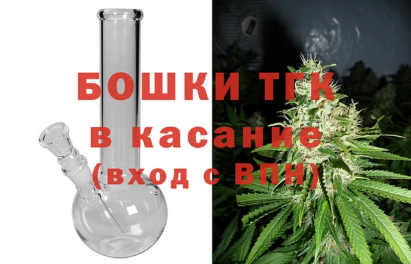 прущие грибы Куйбышев