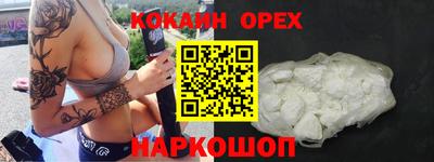 гашик Донской