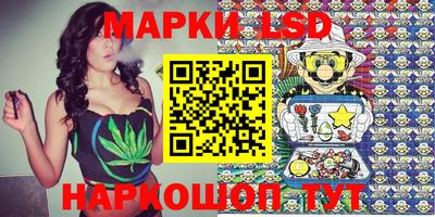гашик Донской