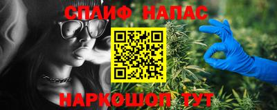 гашик Донской